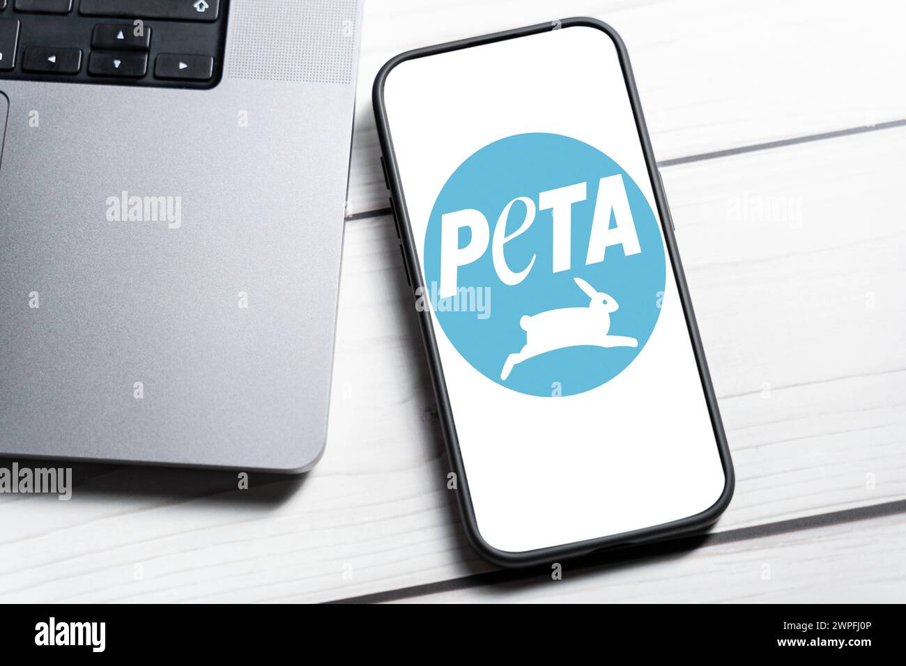 Germany - 7 March 2024: Mobile phone lying on a table with the logo of the animal welfare organization Peta - People for the Ethical Treatment of Animals. PHOTOMONTAGE *** Handy liegt auf einem Tisch, auf dem das Logo der Tierschutzorganisation Peta - People for the Ethical Treatment of Animals zu sehen ist. FOTOMONTAGE Stock Photo