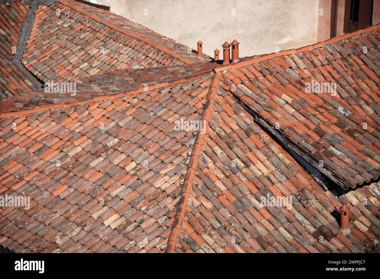 Terracotta Dove Roof Finials - Ca 1900 Terracotta Dove Roof Finials - Ca 1900