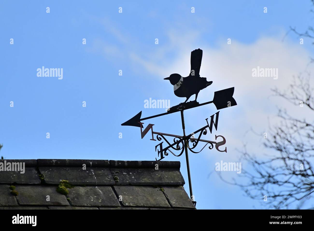 Around the UK- Magpie Weather Vane, Around Jumbles Reservoir, Bolton, Greater Manchester Stock Photo