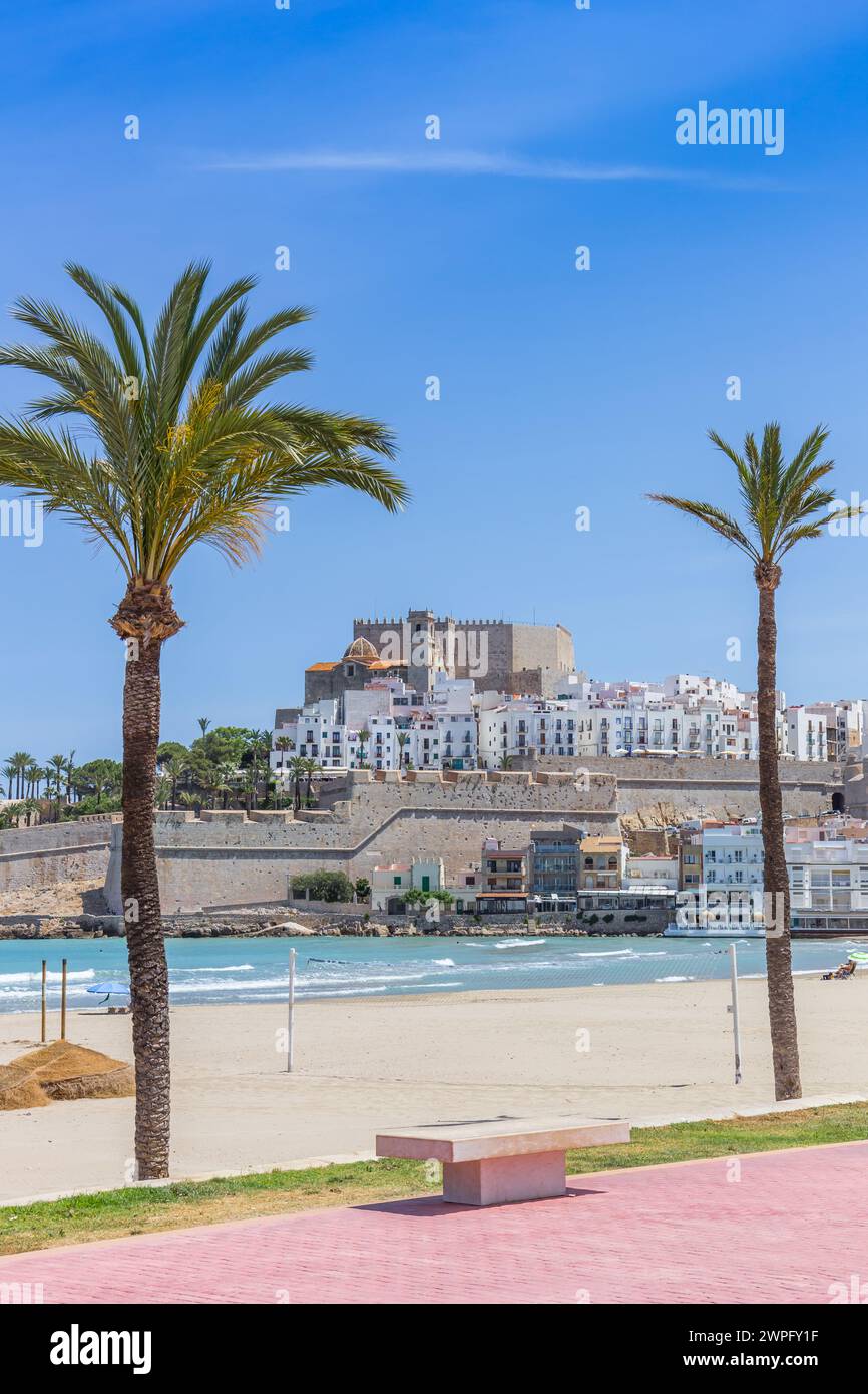 Palm trees in front of the historic town of Peniscola, Spain Stock Photo