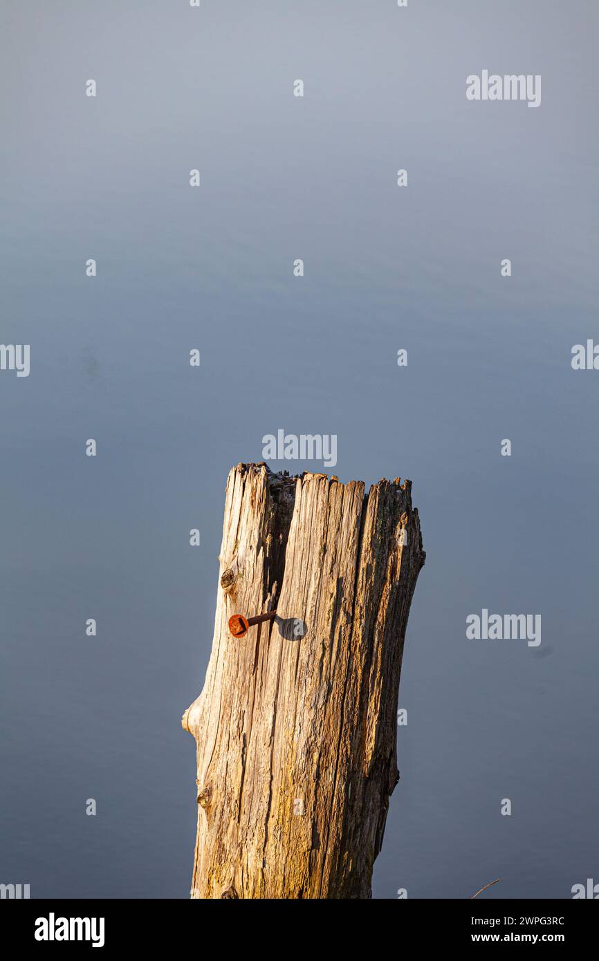 Abstract image of an old wooden piling along the Steveston waterfront in Canada Stock Photo