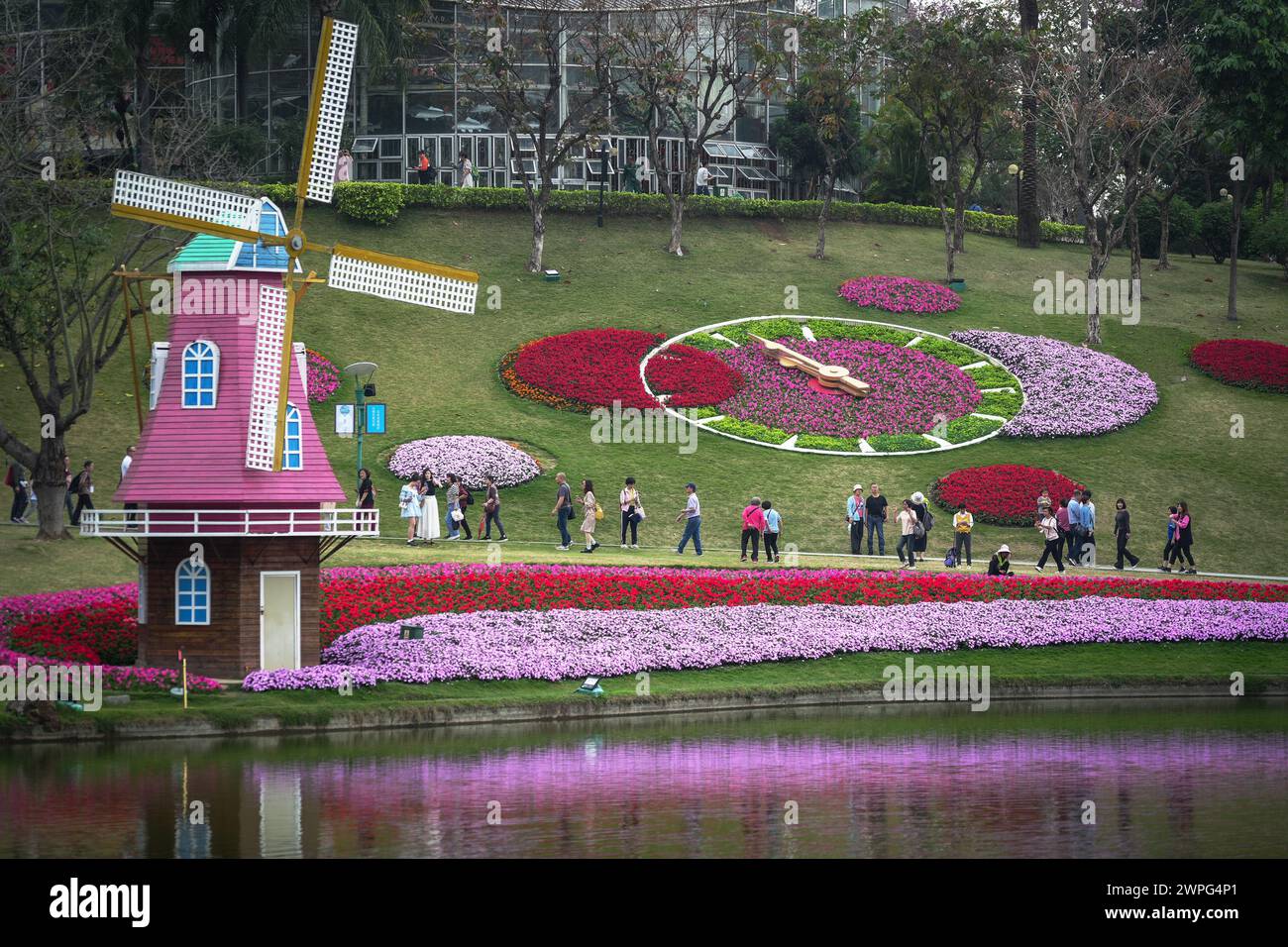 GUANGZHOU, CHINA - February  22, 2024:  Flowers can be seen blooming throughout the year in Guangzhou, which has given rise to its nickname “city of f Stock Photo