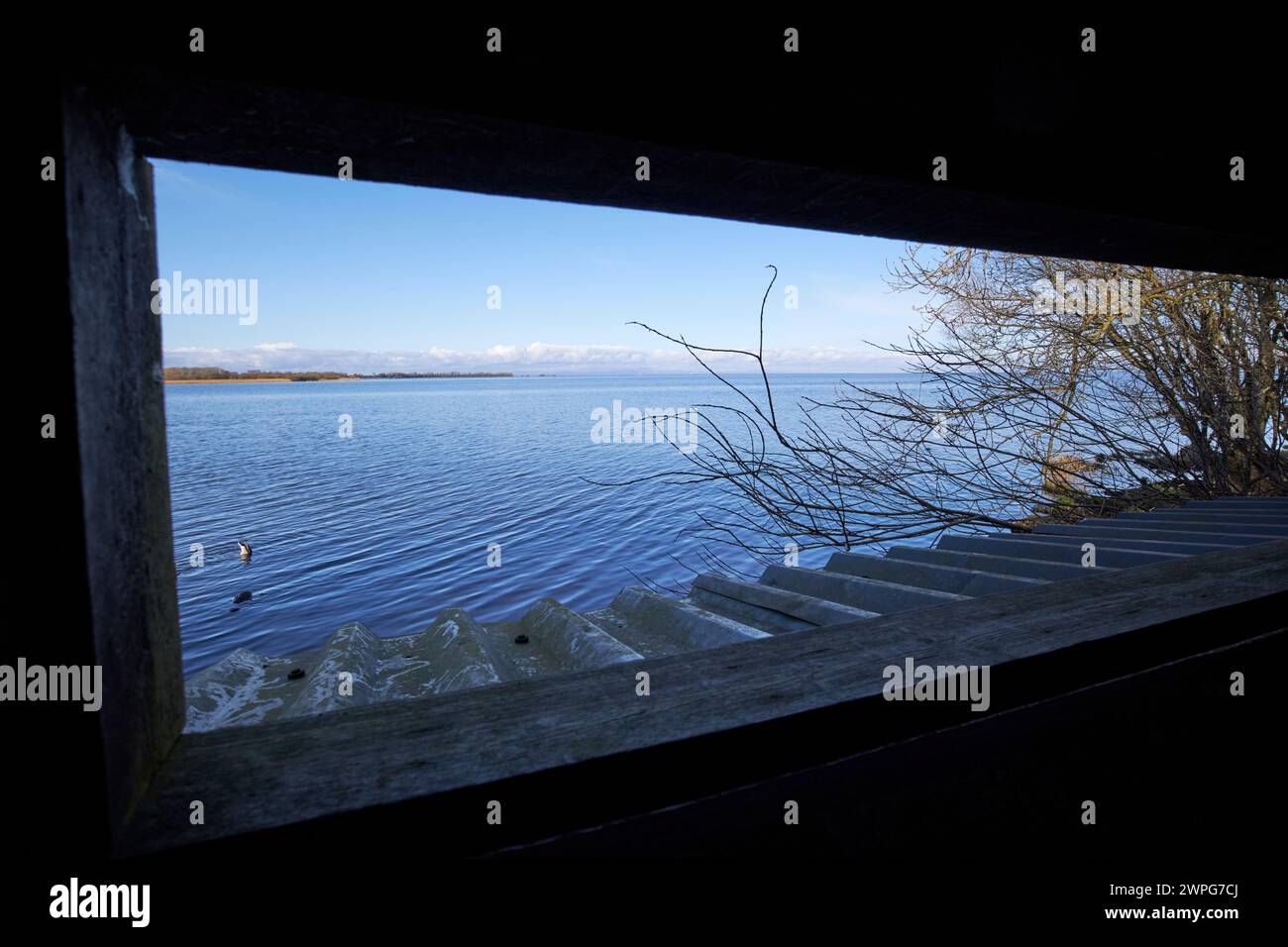 looking out through wildlife birdwatching hide on lough neagh shoreline oxford island county armagh northern ireland uk Stock Photo