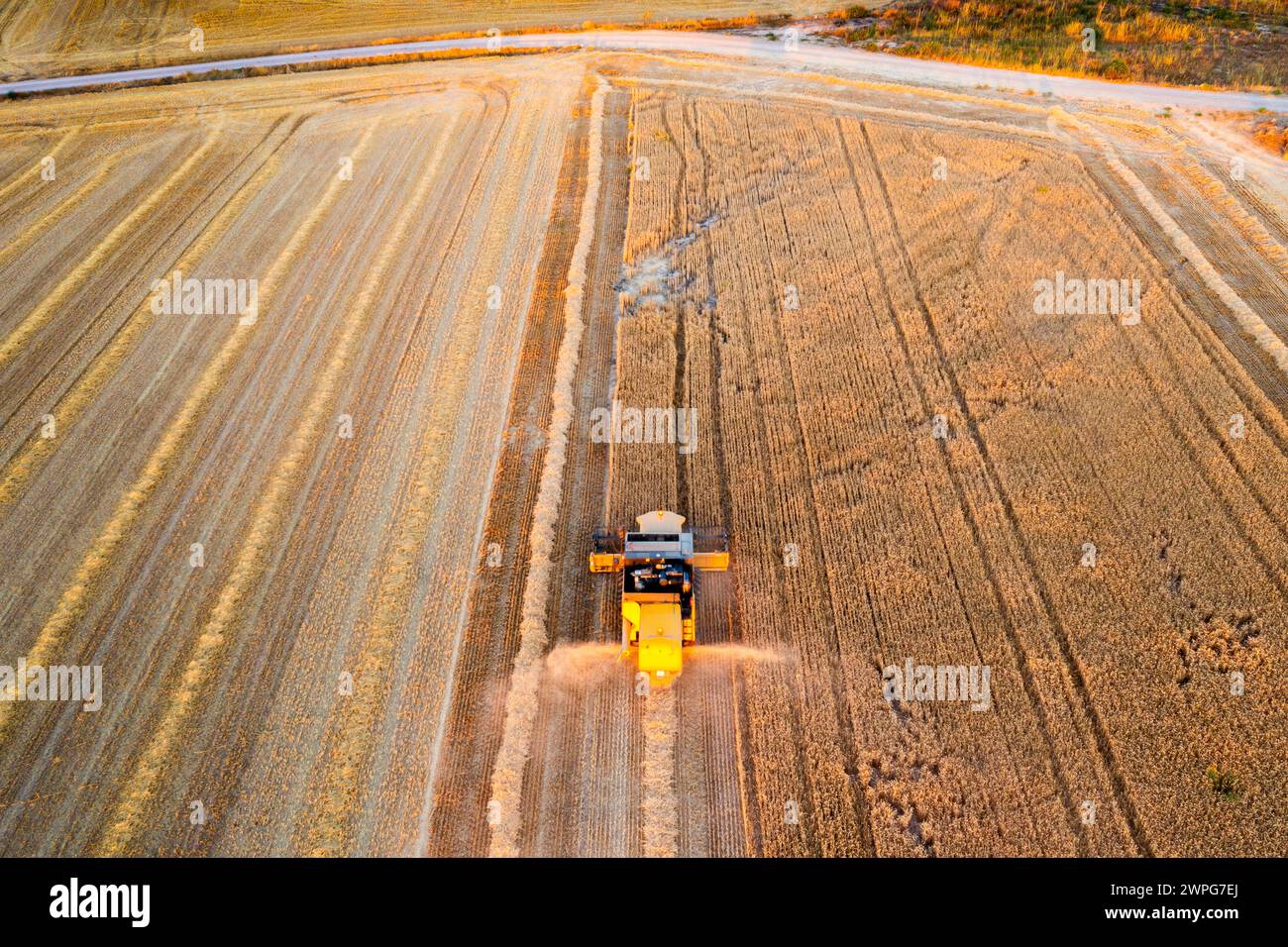 Aerial view of combine harvesting wheat harvest. Stock Photo