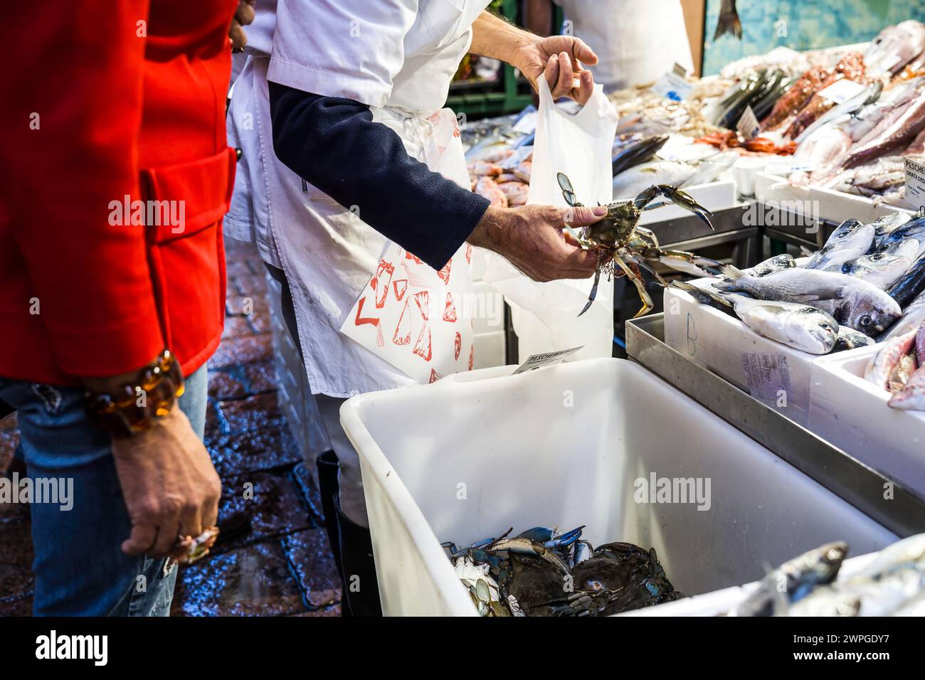 Elegant lady at market to fish counter - The seller is putting callinectes sapidus blue crabs into the bag - blue crabs are american atlantic coasts - Stock Photo
