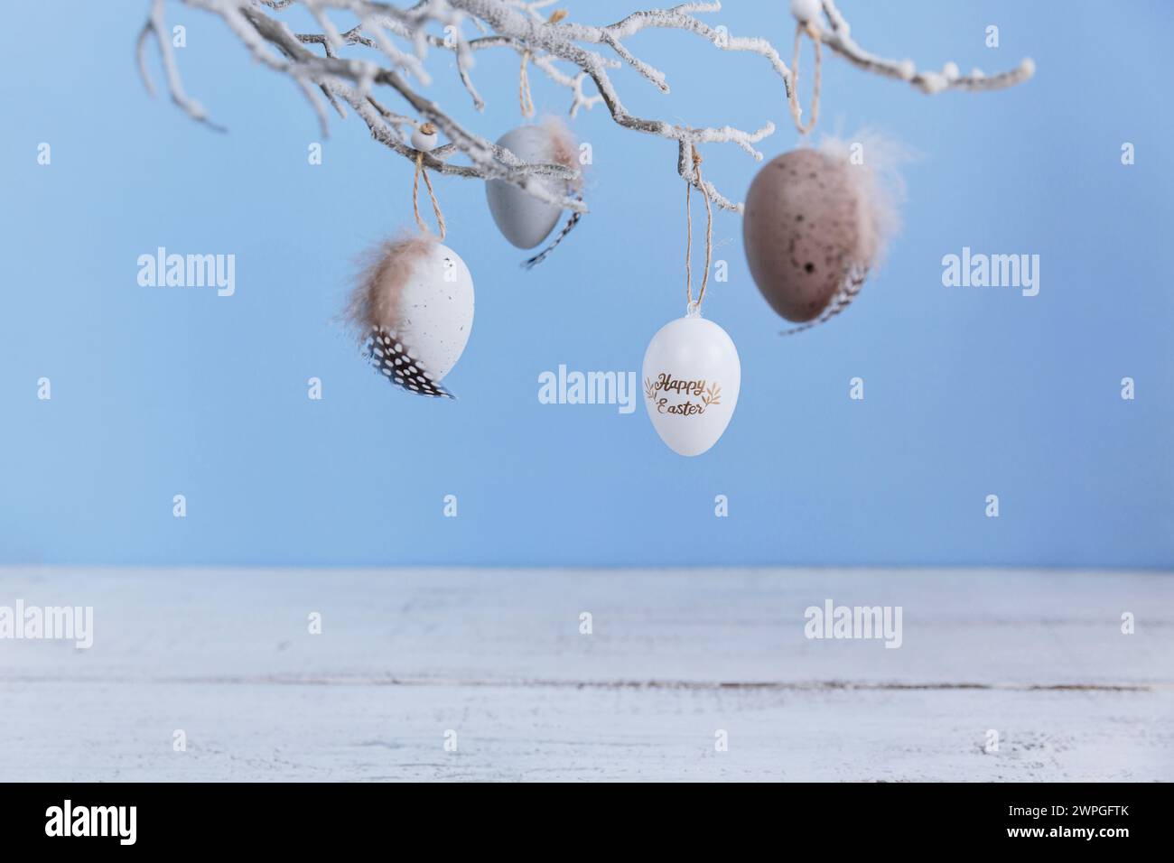Easter eggs hanging on branch on pastel blue background Stock Photo - Alamy