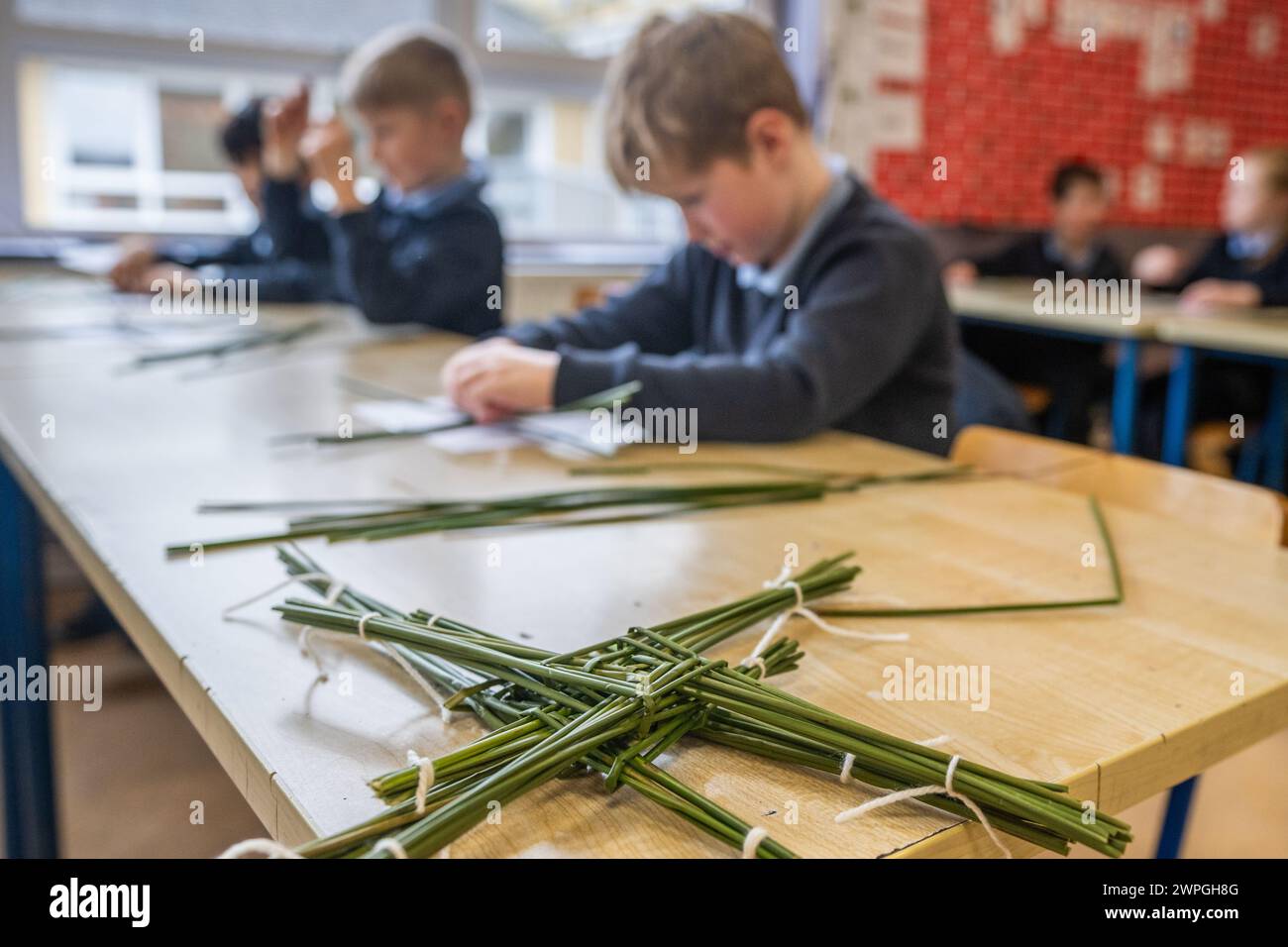 Irish 2nd class pupils making St. Brigid crosses in Ireland. Stock Photo