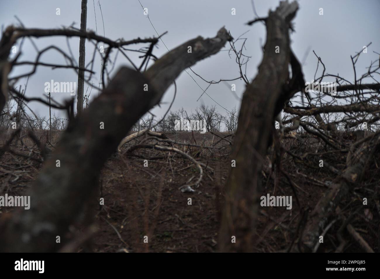 Kyiv, Donetsk Oblast, Ukraine. 7th Mar, 2024. Russian enemy trenches sit in a treeline 100 meters away. Russian infantry positions are 100m away from Ukrainian lines. (Credit Image: © Madeleine Kelly/ZUMA Press Wire) EDITORIAL USAGE ONLY! Not for Commercial USAGE! Stock Photo