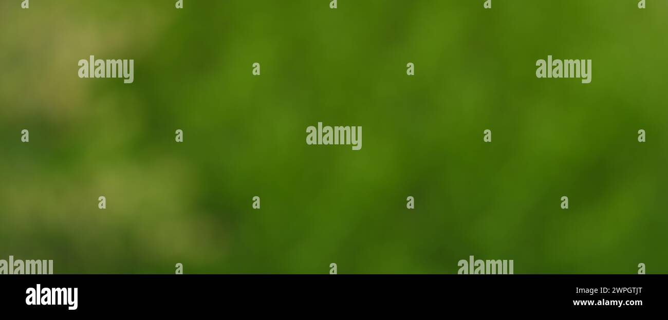 Spring, summer empty blurred green natural background, empty form, card ...
