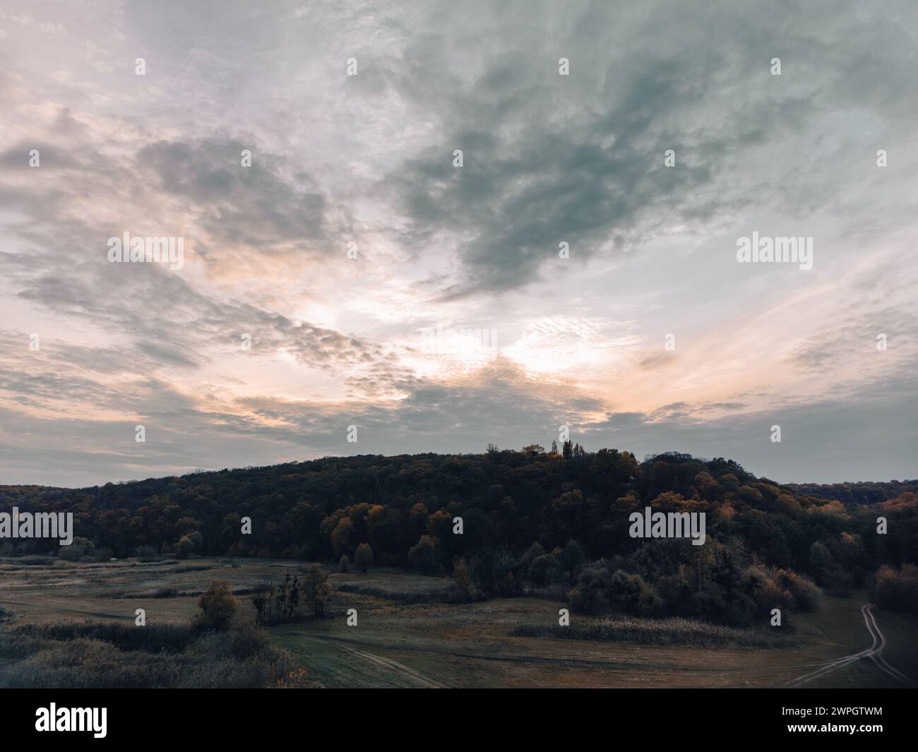 Aerial dark road in woods hi-res stock photography and images - Alamy