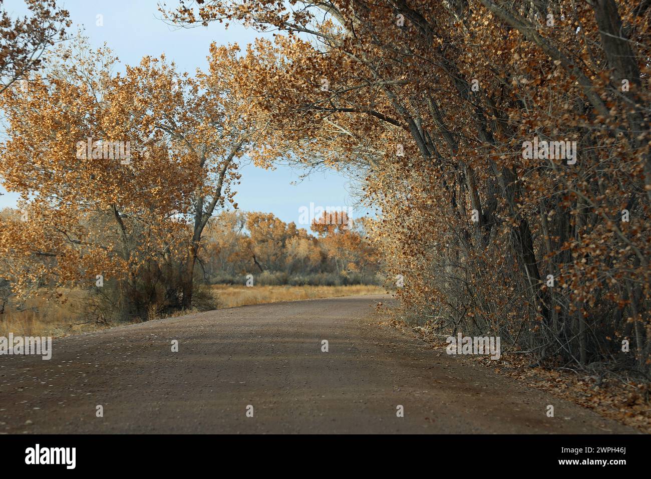 Dirt road - New Mexico Stock Photo