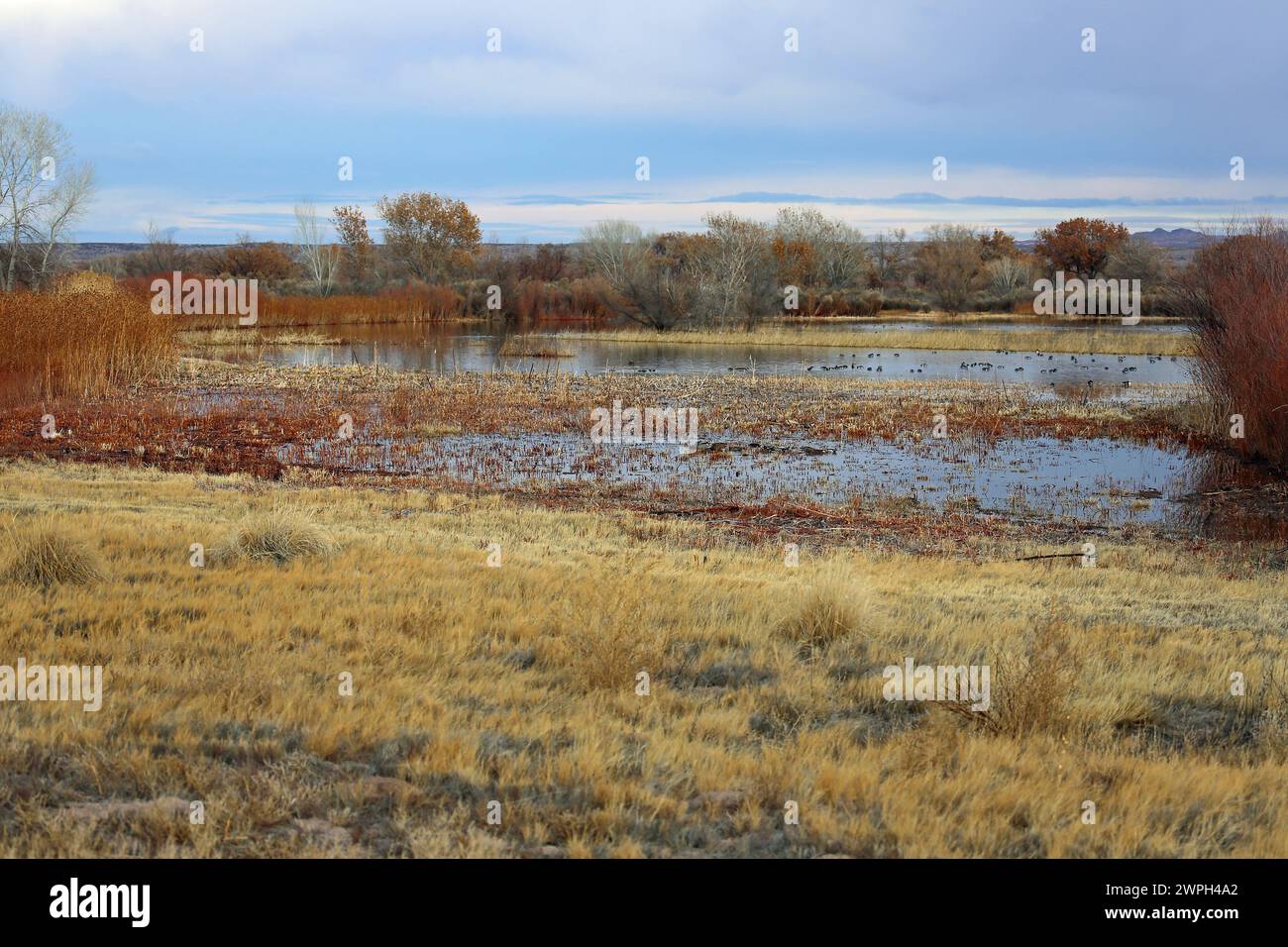 Landscape from visitor center - Bosque del Apache National Wildlife Refuge, New Mexico Stock Photo