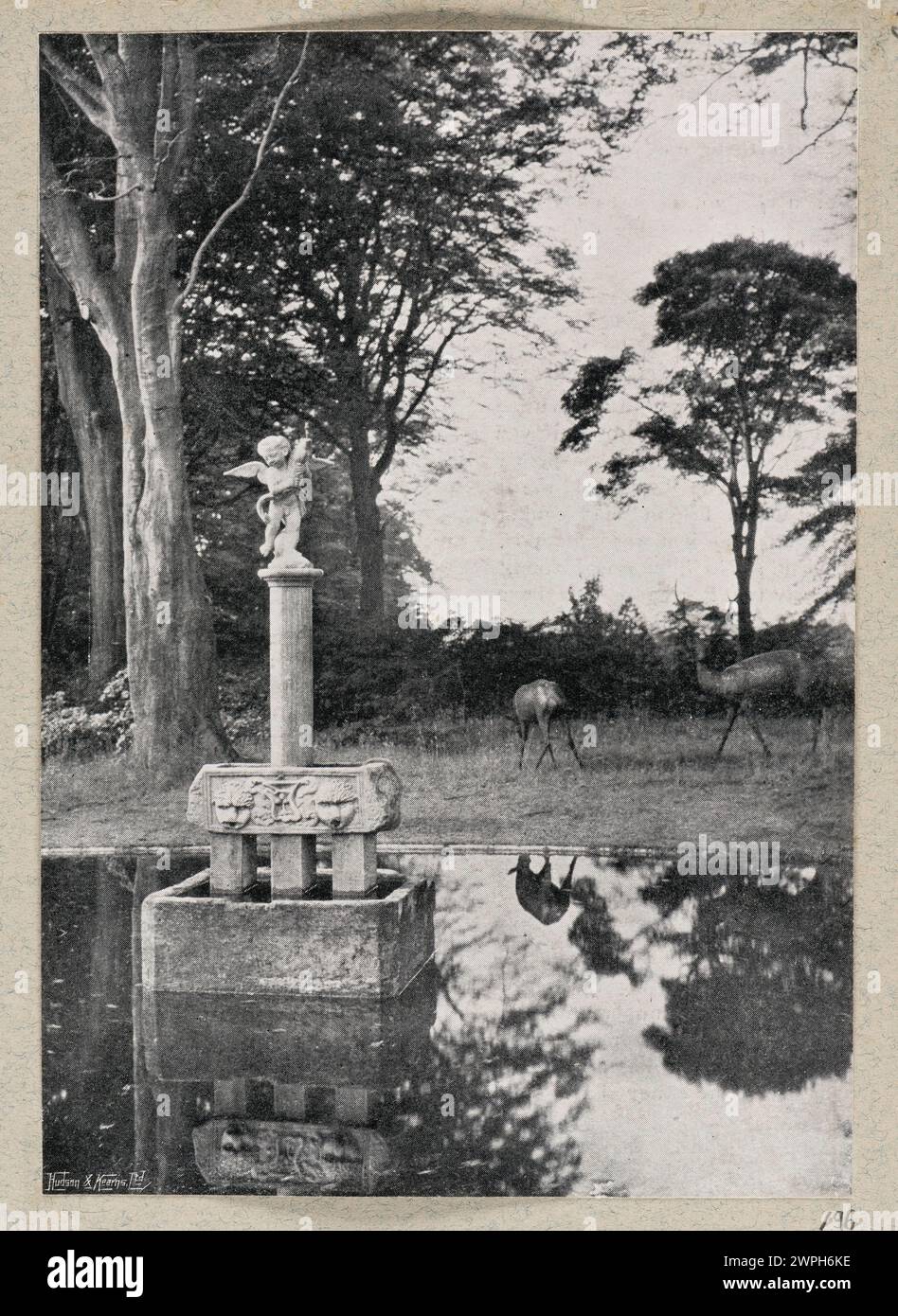 Newspaper photography with a fountain with a Putt sculpture on a pond in the park;  Before 1911 (1869-00-00-1911-00-00);fountains, illustrations for the press, deer, parks (gardens), sculptures, garden sculptures, park ponds, purchase (provenance), animals Stock Photo