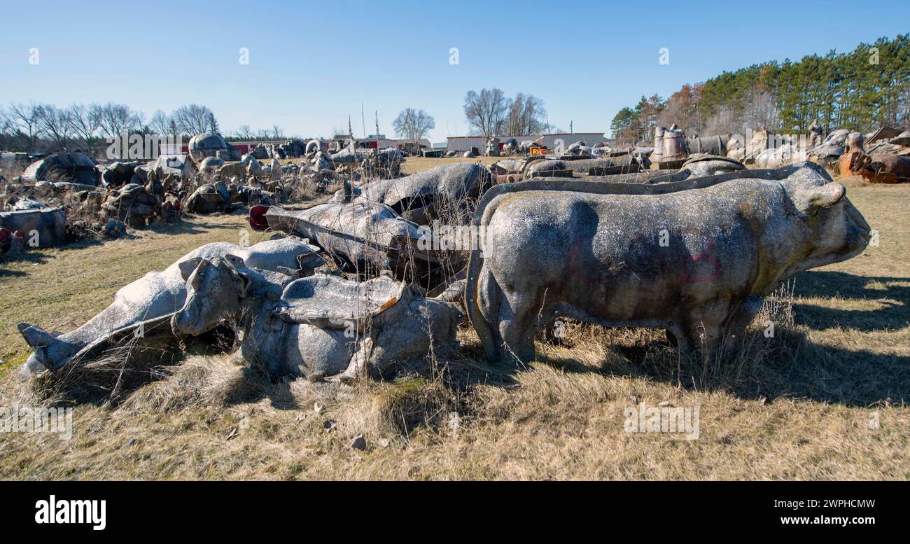 Sparta, Wisconsin, USA. 07th Mar, 2024. The FAST (Fiberglass, Animals