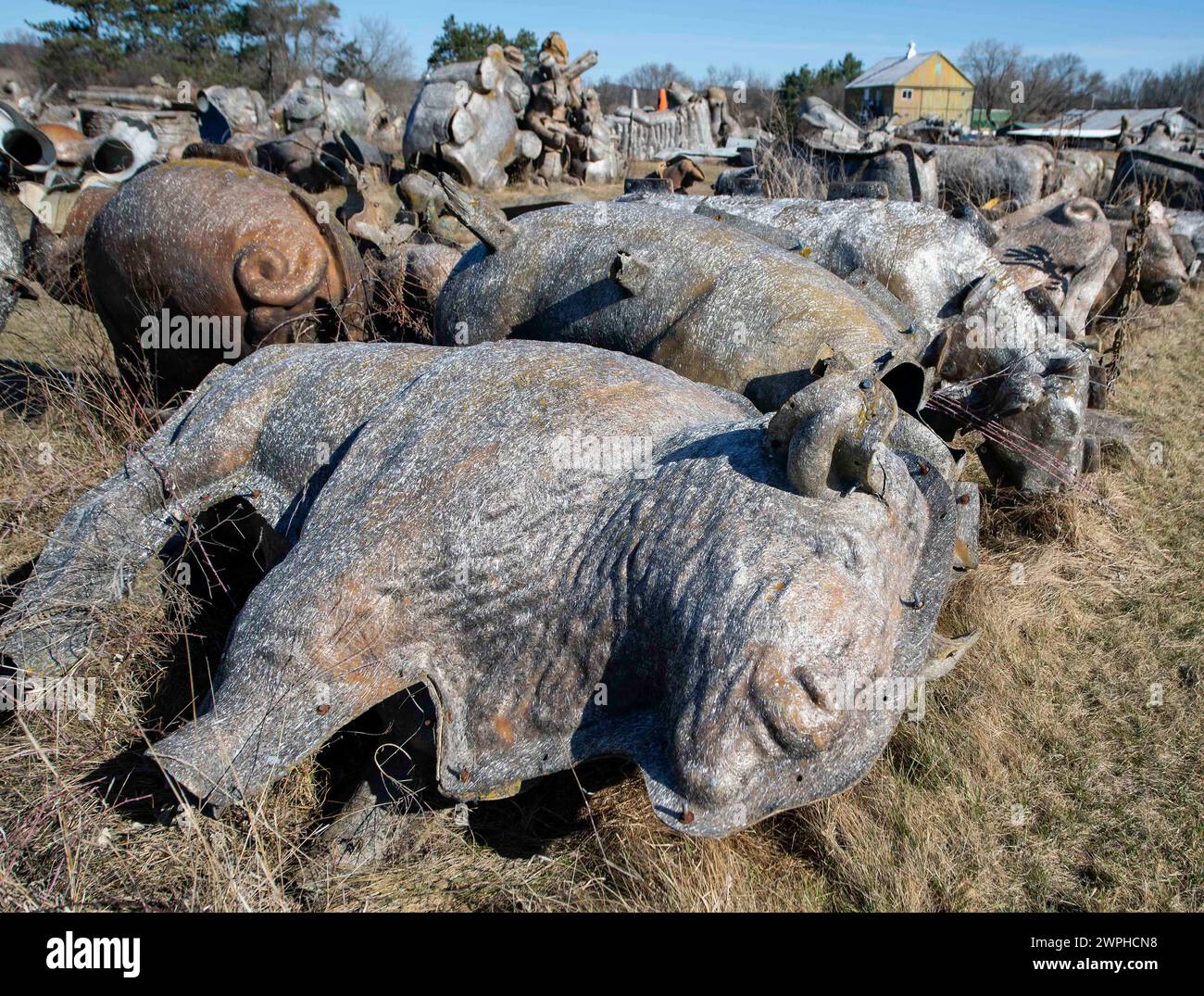 Sparta, Wisconsin, USA. 07th Mar, 2024. The FAST (Fiberglass, Animals