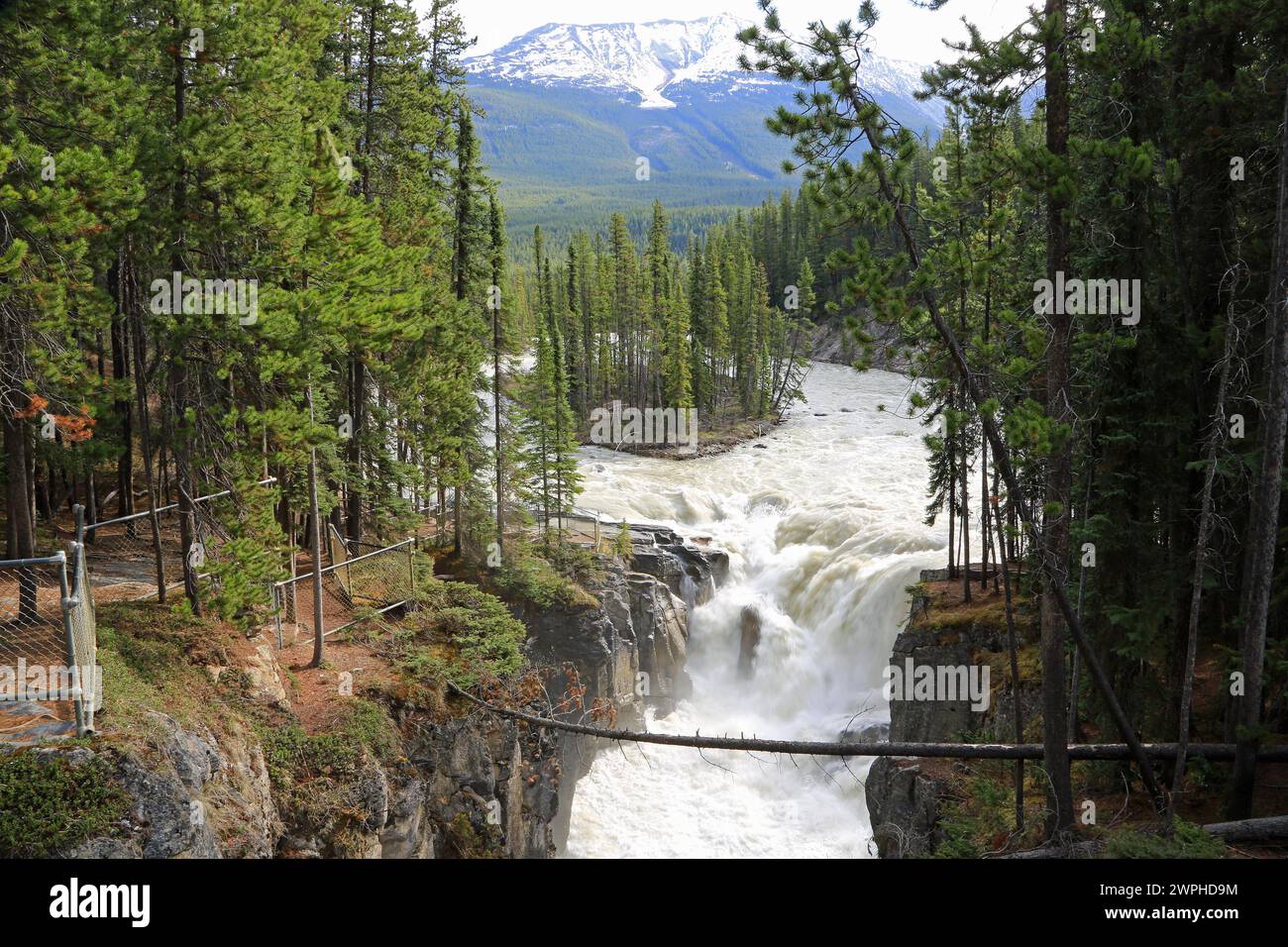 Sunwapta Falls, Canada Stock Photo