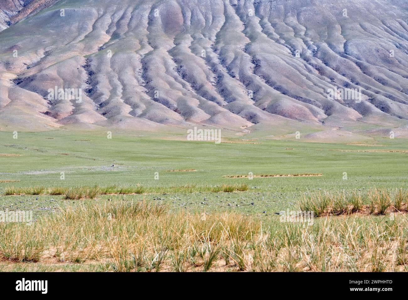 Mongolian mountain natural landscapes with eroded foothill slopes near lake Tolbo-Nuur in north Mongolia. Stock Photo