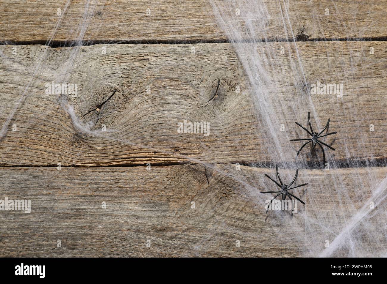 Cobweb and spiders on wooden surface, top view Stock Photo