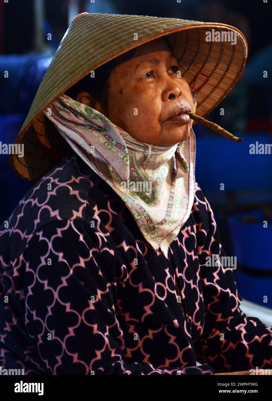 A Vietnamese woman smoking a cheroot at the Thanh Hà fish market in Hoi ...