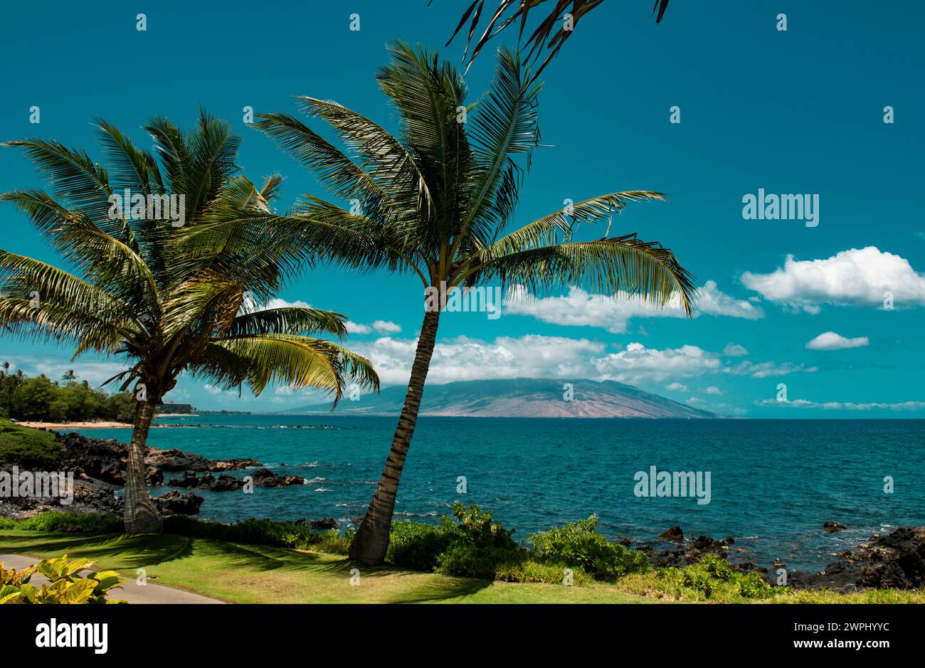 Hawaii beach, hawaiian ocean, aloha maui island. Tropical beach panorama. Stock Photo
