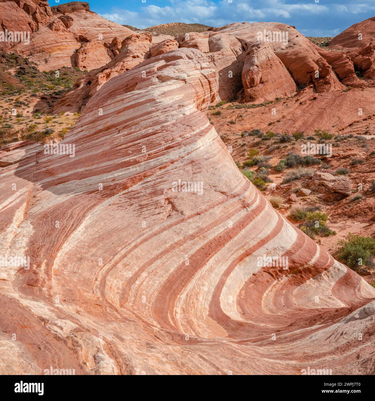 Valley of Fire State Park Nevada Fire Wave hike on red sandstone with iron oxide - hiking the Mojave desert near Las Vegas Stock Photo