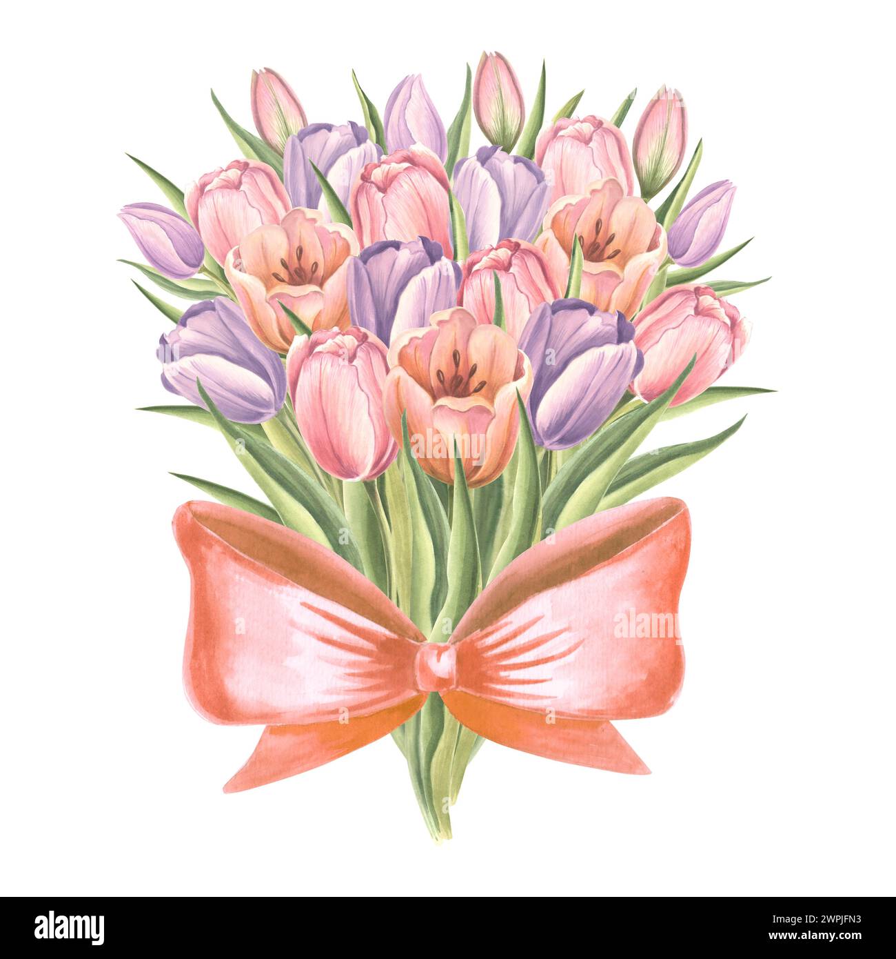 Tulips bouquet with silk ribbon bow. Isolated hand drawn watercolor ...