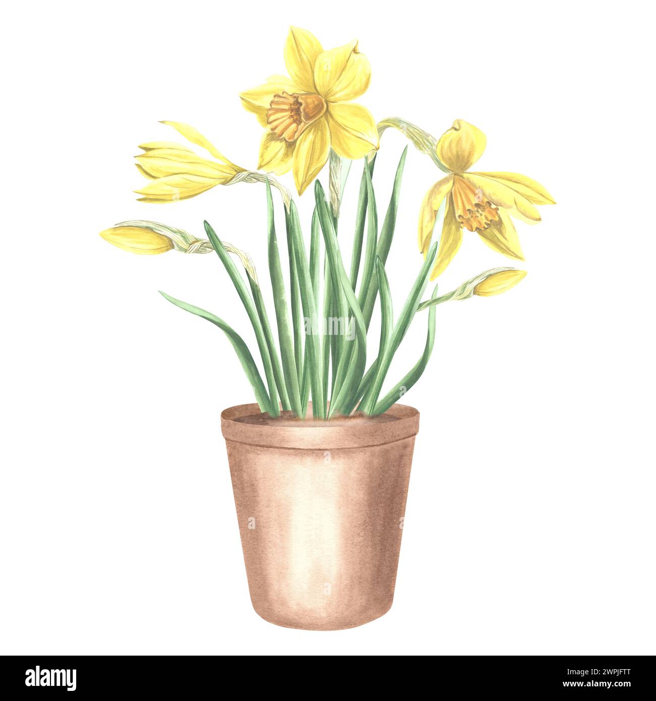 Vibrant, heart-shaped flowers in realistic vase png download - 4048*3976 -  Free Transparent Doodle Valentine Plant png Download. - CleanPNG / KissPNG