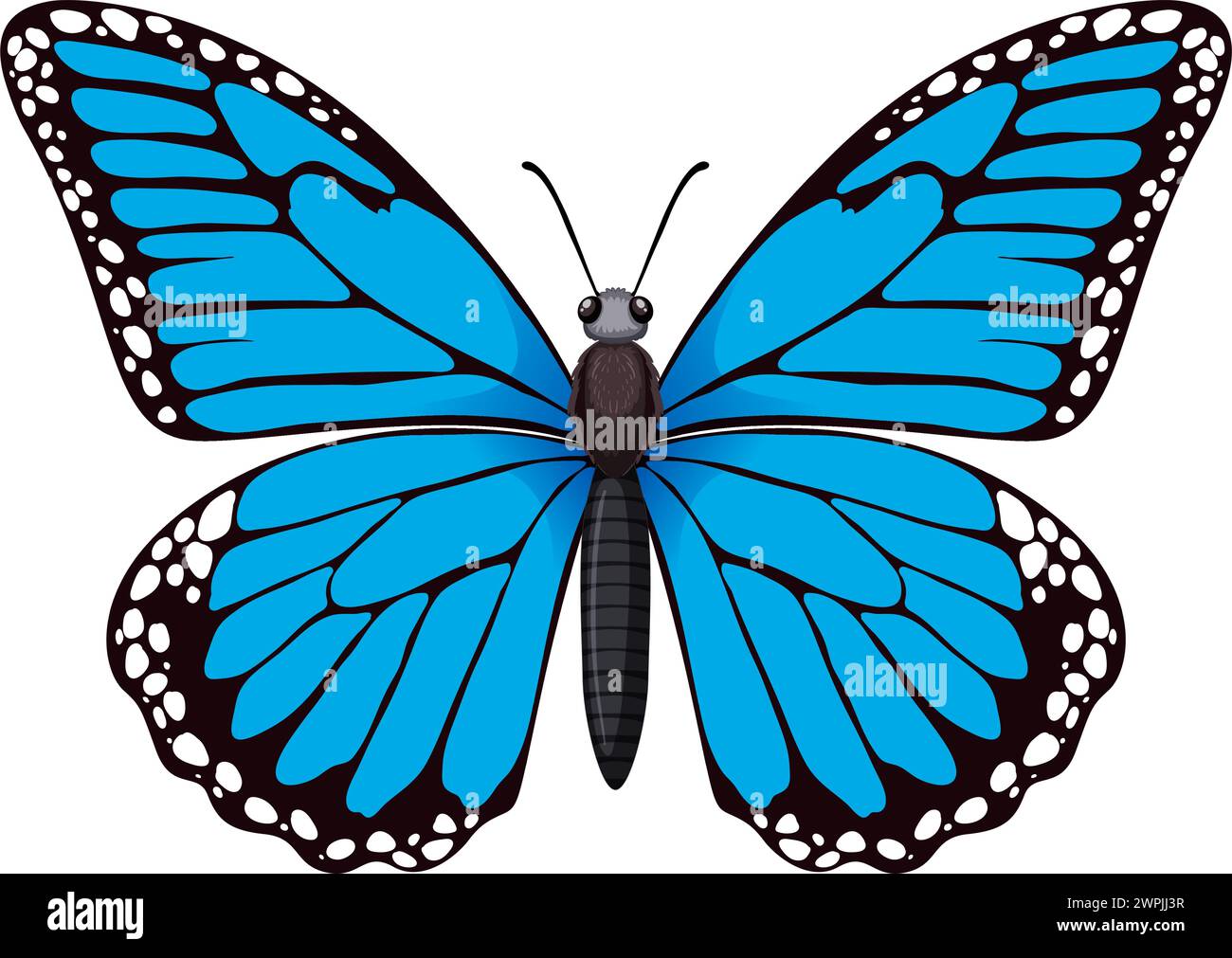 A detailed vector graphic of a blue butterfly Stock Vector