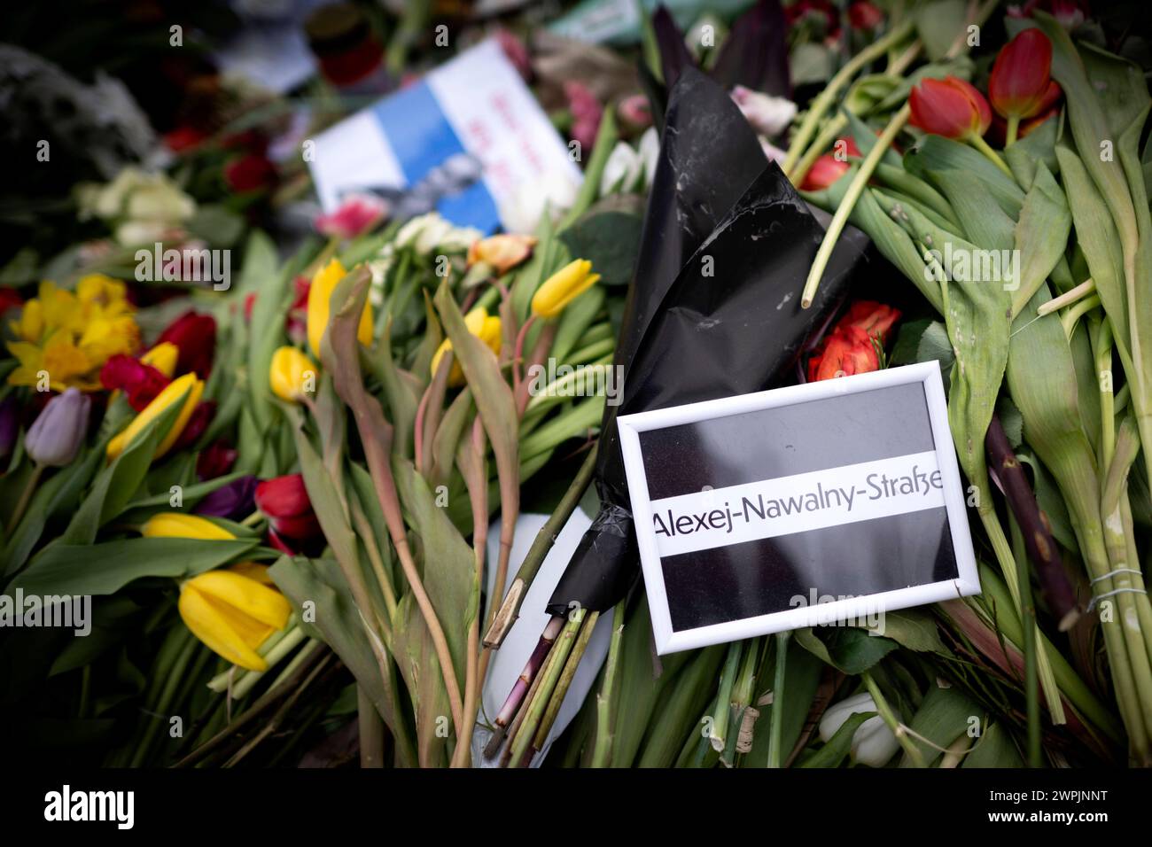 Navalny Memorial DEU, Deutschland, Germany, Berlin, 01.03.2024 Schild Alexej-Nawalny-Strasse fuer die Umbennung am Erinnerungsort fuer den russischen Oppositionsfuehrer Alexej Nawalny vor der russischen Botschaft Unter Den Linden in Berlin Deutschland am 1. März 2024, dem Tag von Nawalnys Beerdigung in Russland . Nawalny starb am 16. Februar 2024 in einem russischen Gefaengnis in Nordsibirien, wo er eine 19-jaehrige Haftstrafe verbuesste, die weithin als politische Vergeltung fuer seinen Widerstand gegen den russischen Praesidenten Wladimir Putin angesehen wurde. Auch eine Initiative als Symbo Stock Photo