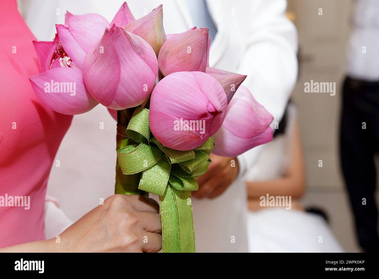 Vietnam, Lotus in a Sea of Fire: A Buddhist Proposal for Peace main image 1