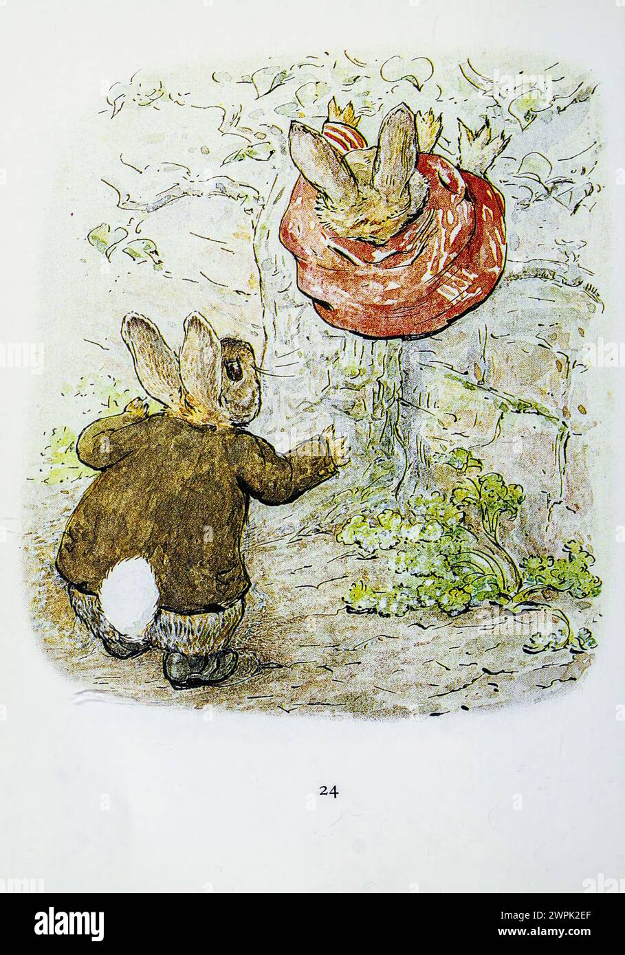 Beatrix potter benjamin bunny hi-res stock photography and images - Alamy