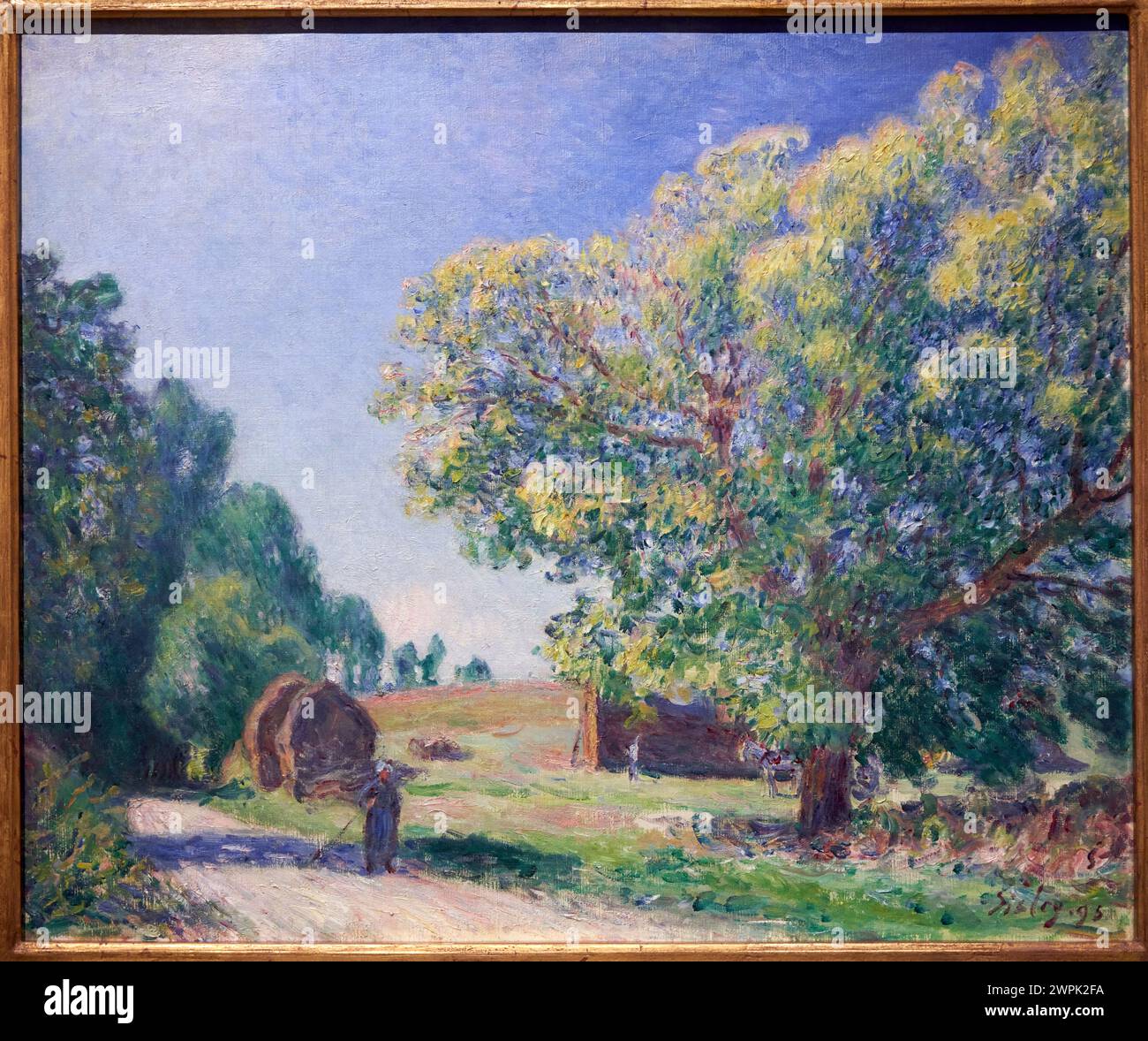 Alfred Sisley, (1839- 1899), A Forest Clearing, 1895 Stock Photo