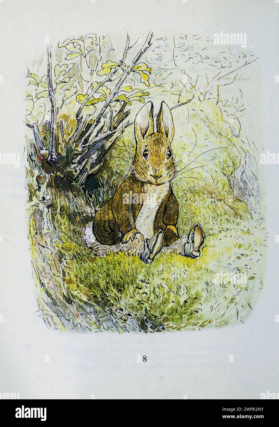The Tale of Benjamin Bunny is a children's book written and illustrated by Beatrix Potter, and first published by Frederick Warne & Co. in September 1904. The book is a sequel to The Tale of Peter Rabbit (1902), and tells of Peter's return to Mr. McGregor's garden with his cousin Benjamin to retrieve the clothes he lost there during his previous adventure. Stock Photo