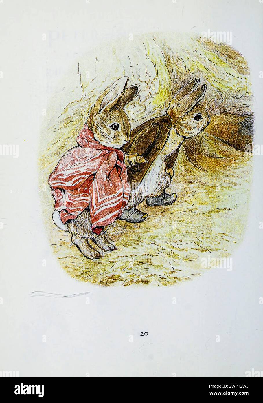 The Tale of Benjamin Bunny is a children's book written and illustrated by Beatrix Potter, and first published by Frederick Warne & Co. in September 1904. The book is a sequel to The Tale of Peter Rabbit (1902), and tells of Peter's return to Mr. McGregor's garden with his cousin Benjamin to retrieve the clothes he lost there during his previous adventure. Stock Photo