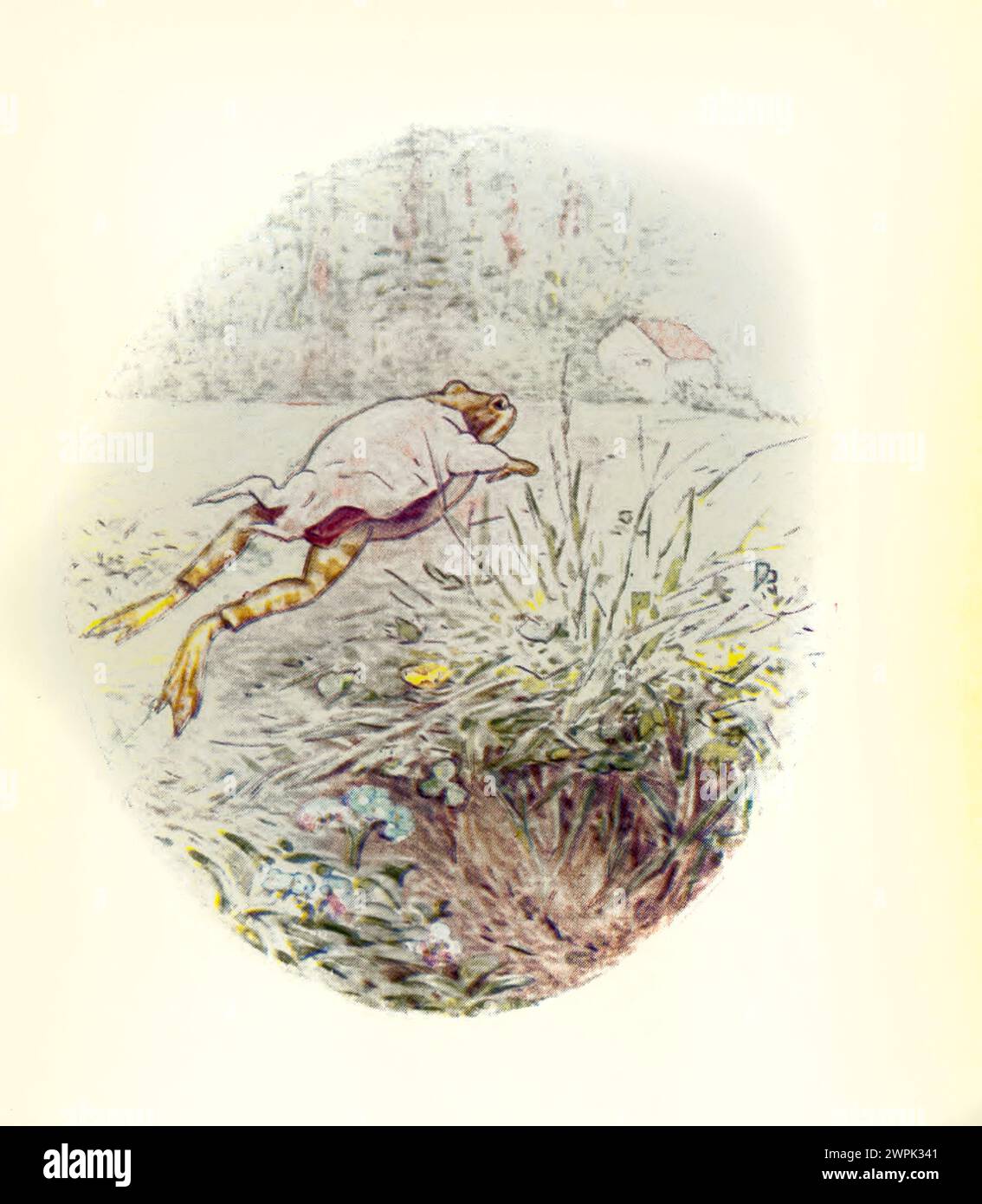 The tale of Mr. Jeremy Fisher by Beatrix Potter, The Tale of Mr. Jeremy Fisher is a children's book, written and illustrated by Beatrix Potter. It was published by Frederick Warne & Co. in July 1906. Jeremy Fisher is a frog that lives in a 'slippy-sloppy' house at the edge of a pond. During one rainy day, he collects worms for fishing and sets off across the pond on his lily-pad boat. He plans to invite his friends for dinner if he catches more than five minnows. He encounters all sorts of setbacks to his goal, and escapes a large trout who tries to swallow him. He swims for shore, decides he Stock Photo