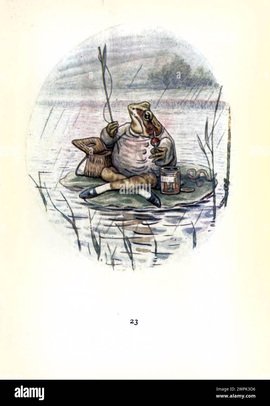 The tale of Mr. Jeremy Fisher by Beatrix Potter, The Tale of Mr. Jeremy Fisher is a children's book, written and illustrated by Beatrix Potter. It was published by Frederick Warne & Co. in July 1906. Jeremy Fisher is a frog that lives in a "slippy-sloppy" house at the edge of a pond. During one rainy day, he collects worms for fishing and sets off across the pond on his lily-pad boat. He plans to invite his friends for dinner if he catches more than five minnows. He encounters all sorts of setbacks to his goal, and escapes a large trout who tries to swallow him. He swims for shore, decides he Stock Photo