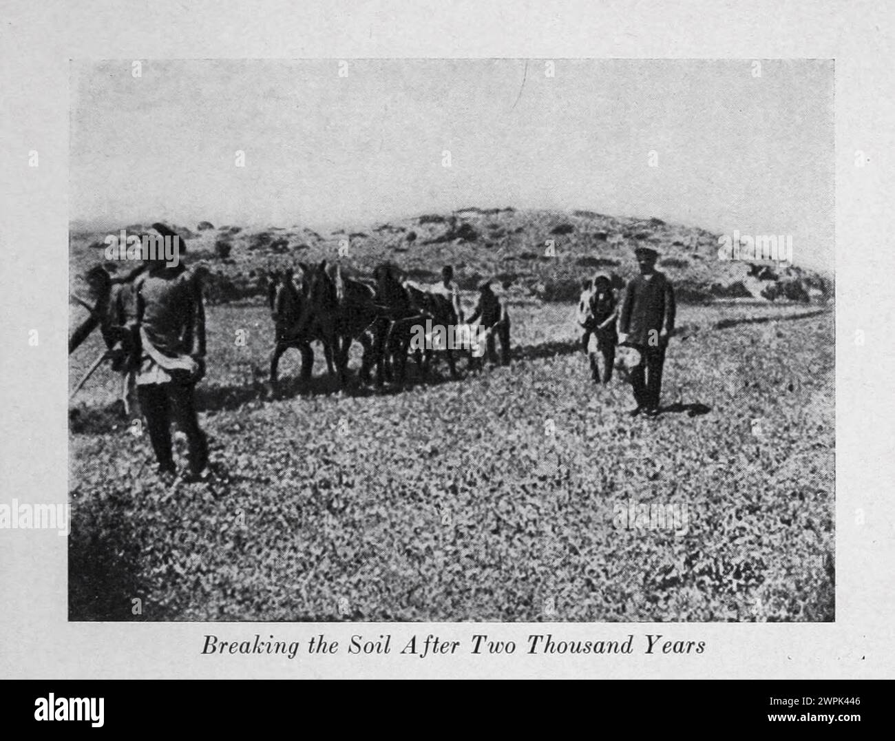 Breaking the Soil After Two Thousand Years Jewish settlers tilling the land Palestine, the
