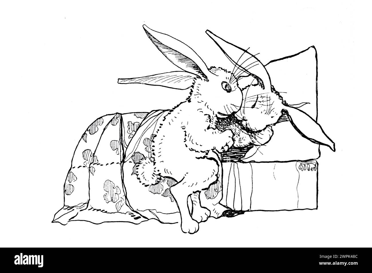 Good Night Peter Rabbit and his ma by Louise A Field, Illustrated by