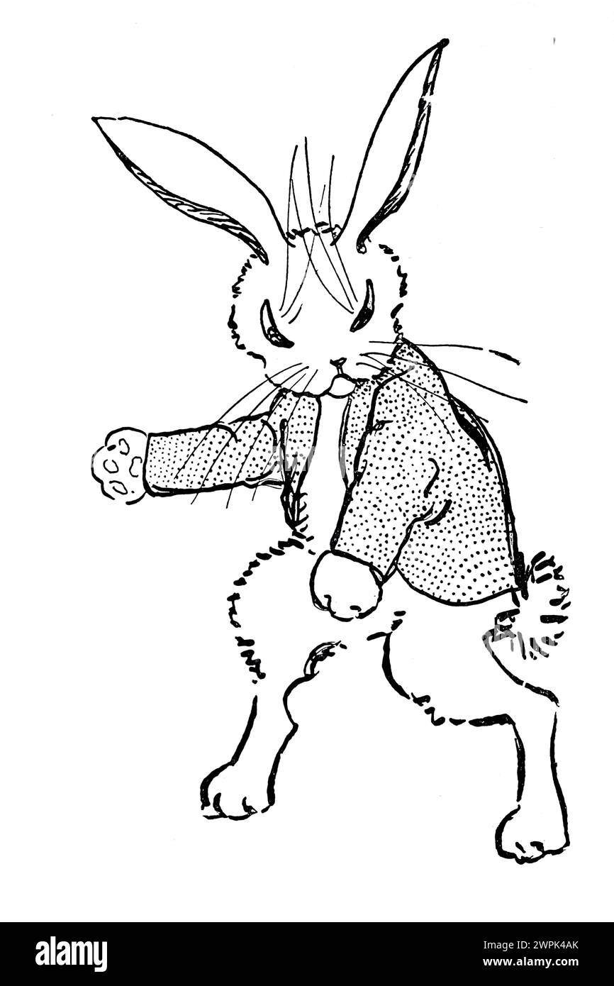 Peter Rabbit and his ma by Louise A Field, Illustrated by Virginia