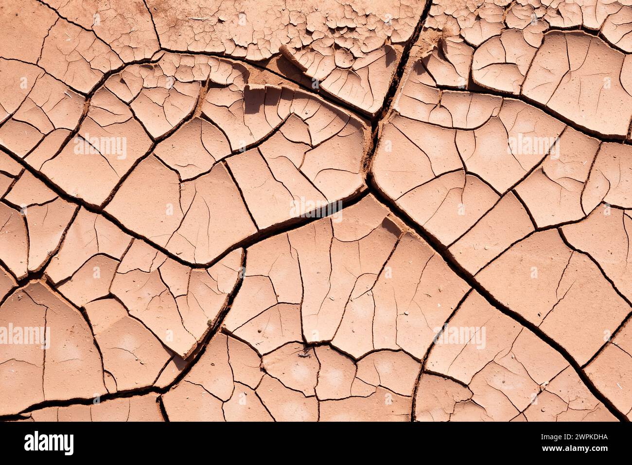 Curious forms of cracked earth Stock Photo