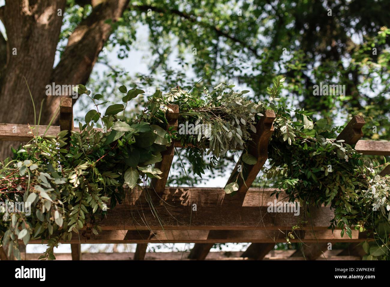 Close up of outdoor pergola decorated with green foliage garland Stock ...