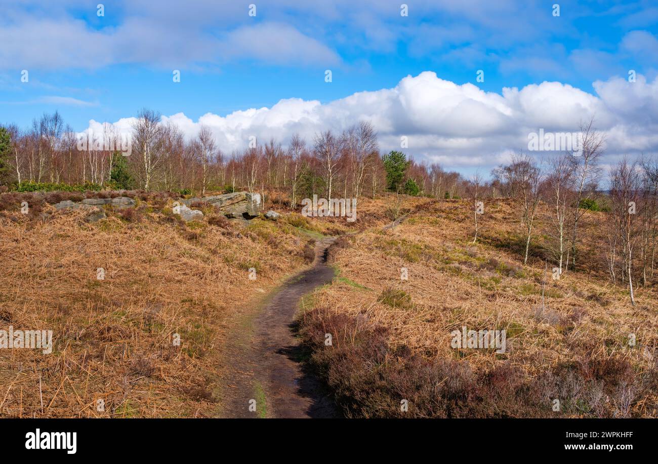 Path over Stanton Moor above Birchover in the Derbyshire Peak District UK on a sunny winter's day Stock Photo