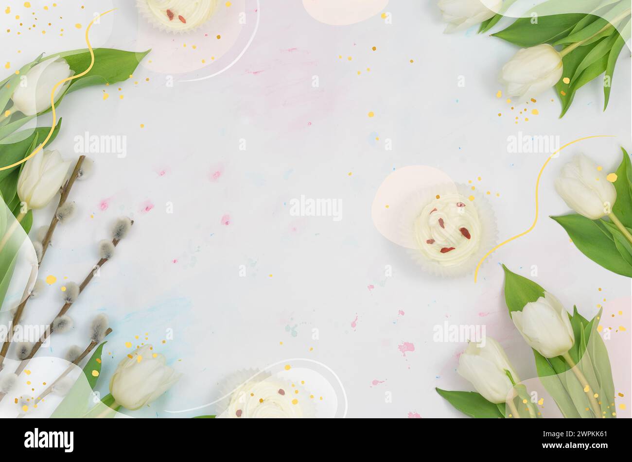 White tulips and catkins twigs arranged in a frame, cream muffins on a table flat lay. Stock Photo