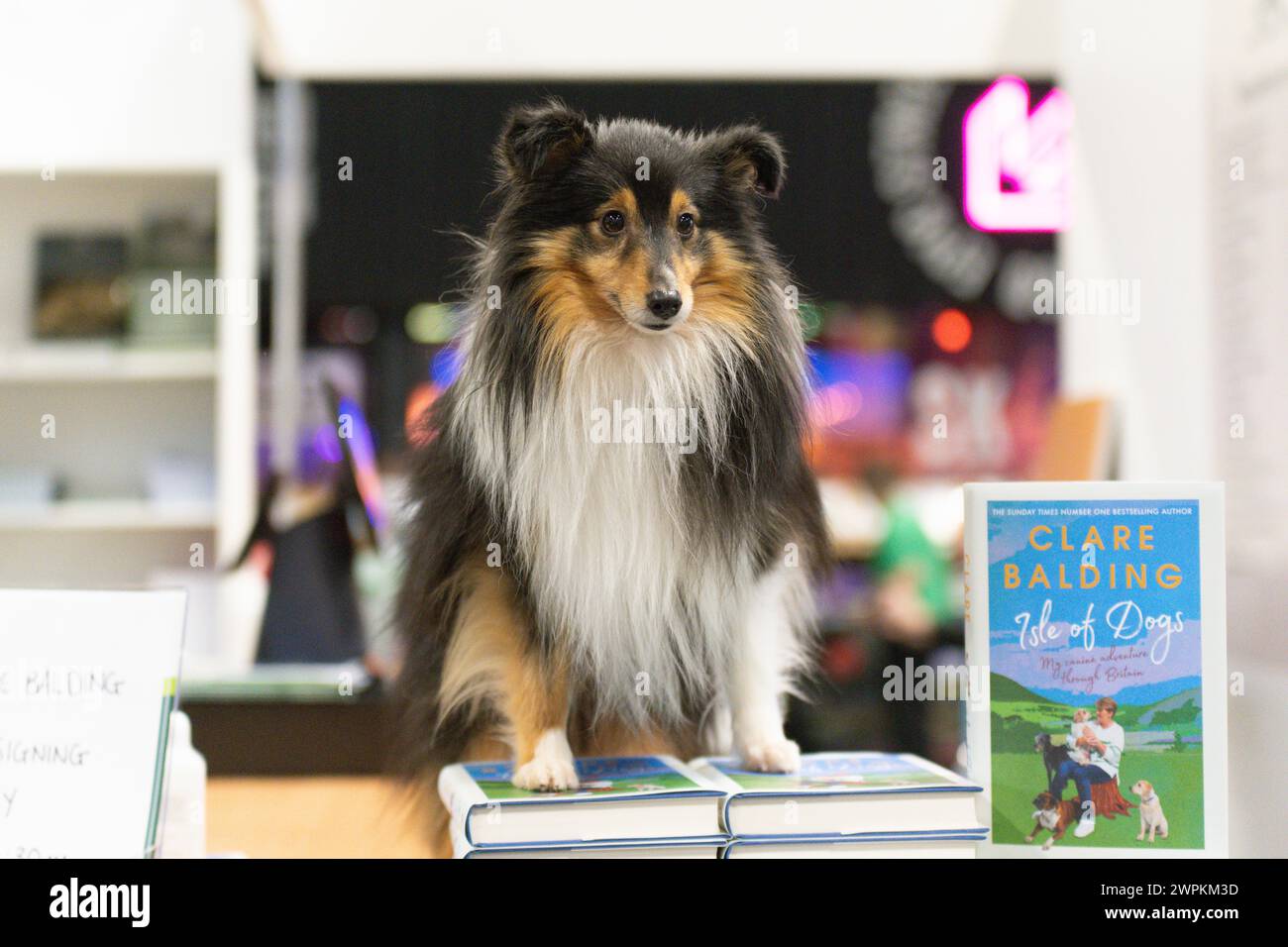 Crufts 2024 clare balding hires stock photography and images Alamy