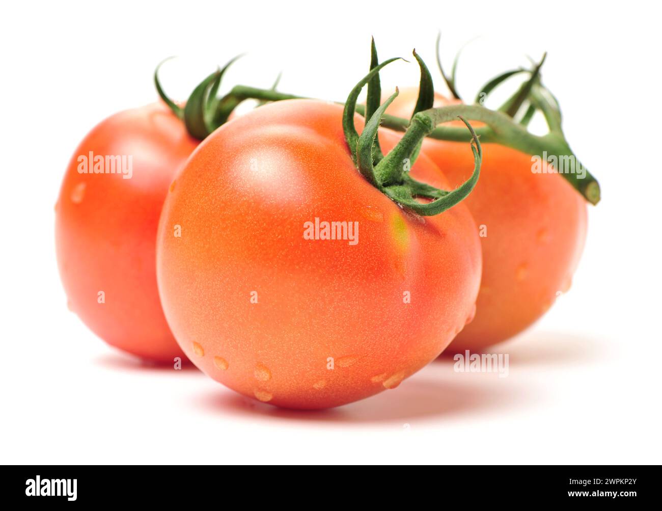fresh tomato isolated on white background Stock Photo - Alamy