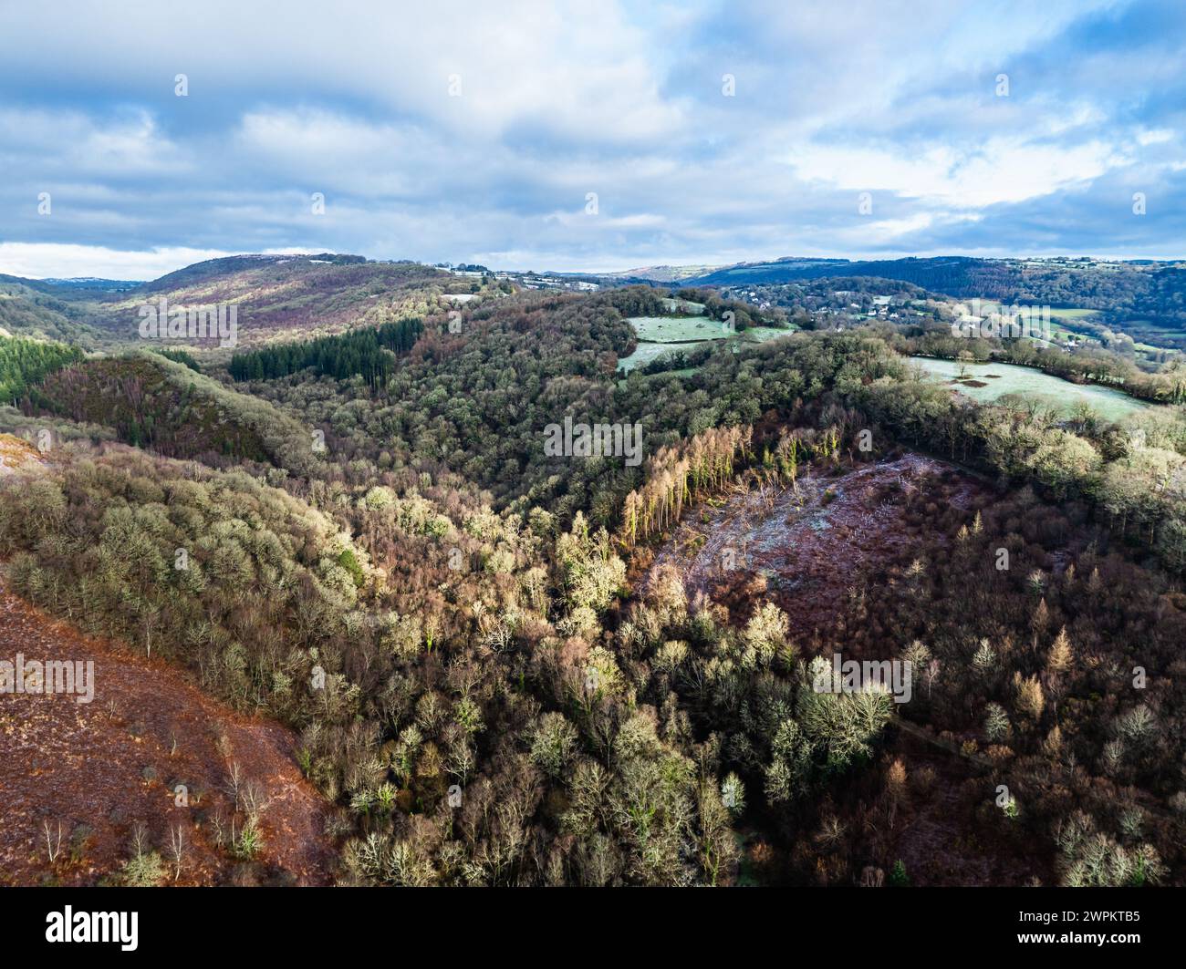 Winter over Hills and valleys in Dartmoor Park, East Dartmoor National