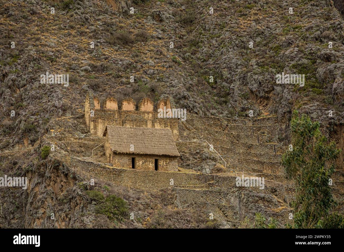 Ollantaytambo agricultural terraces, Peru, South America Stock Photo ...