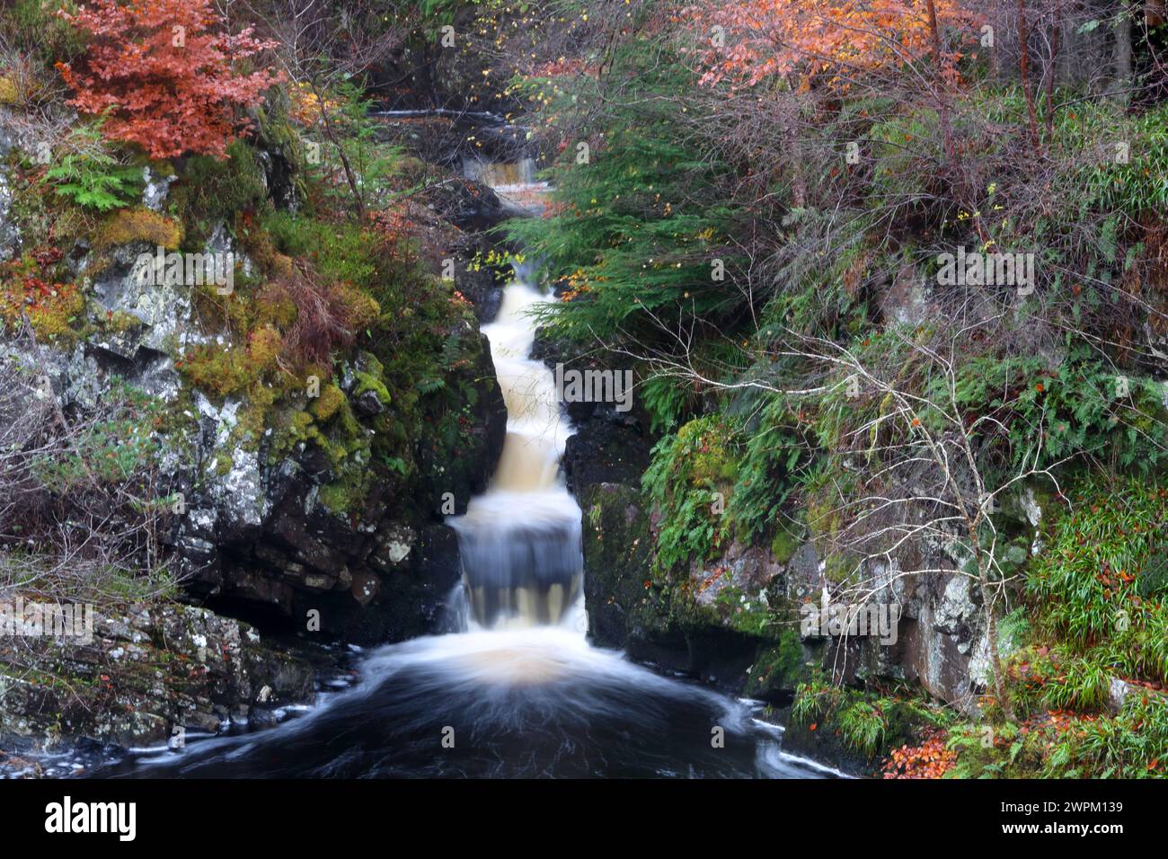 Rogie Falls, Ross-shire, Highlands, Scotland, United Kingdom, Europe Stock Photo