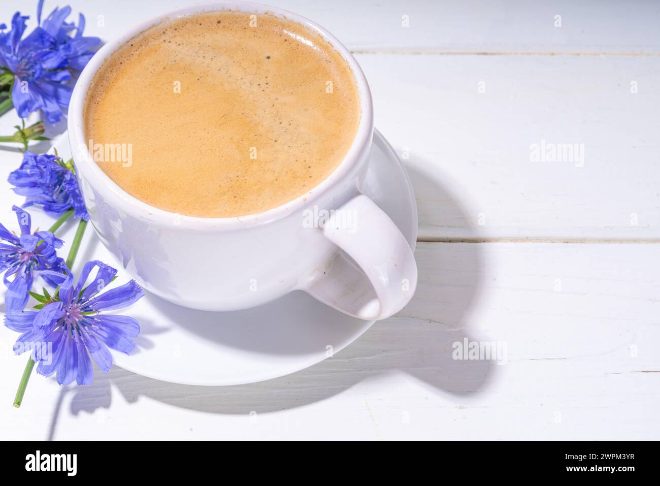 Chicory herbal coffee drink and blue flowers on white wooden table. Alternative vegan and keto diet coffee with chicory flowers and root powder Stock Photo