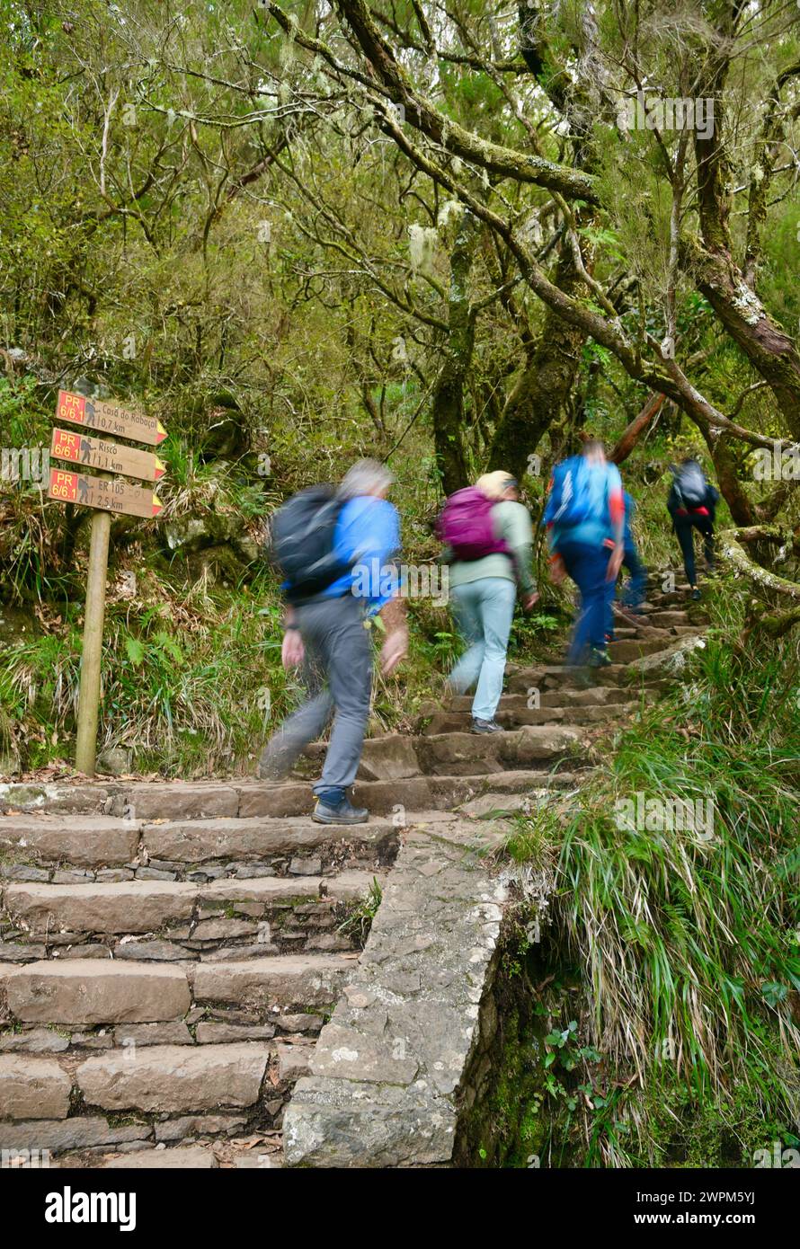 Trekking Ramp Down Female hiker going down steps hi-res stock photography and images - Alamy